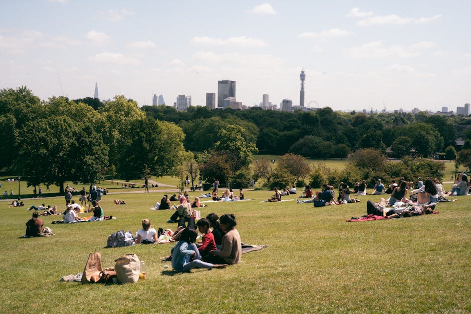 A wide view of a city park on a bright day showing numerous groups of people sitting on the grass, some on blankets and others directly on the lawn, with a variety of objects such as handbags, backpacks, and small picnic items scattered around. The park is bordered by several large, leafy trees, and beyond the trees, a city skyline with modern high-rise buildings and a tall communication tower is visible under a partly cloudy sky. The scene suggests a relaxing outdoor environment suitable for leisure activities typical during a home relocation or a day out, with people enjoying the open space. This setting illustrates the type of environment where a professional removals service like Man With a Van Primrose Hill might assist with packing or moving plans, emphasizing the importance of proper logistics when relocating household items within urban parks and residential areas.