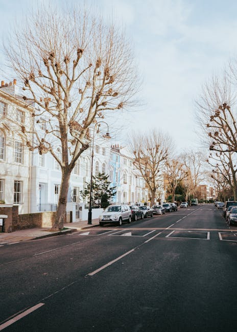 A quiet residential street on Gloucester Avenue in Primrose Hill, showing a row of white Victorian-style terraced houses with decorative window casings and brick facades. Several leafless trees line the pavement, their branches reaching into a pale blue sky, indicating a winter or early spring setting. Parked along the curb are various cars, including a silver hatchback and a dark-colored sedan. In the foreground, part of a black van with an open side door is visible, positioned on the street for loading or unloading. The pavement is clean and well-maintained, with designated parking spaces marked by white lines. This scene illustrates a typical urban neighbourhood suitable for house removals or home relocation activities, supported by professional moving services such as [COMPANY_NAME].