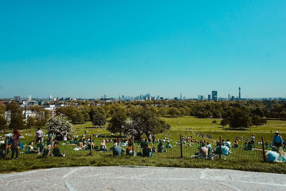 A wide view of a large, open park area in Primrose Hill with numerous visitors sitting on the grass, some on blankets, and walking along pathways. In the foreground, there is a stone or concrete platform and a wire fence separating the park from the area beyond. The park features several mature trees, with a mix of green and flowering varieties, providing shade and visual interest. The background shows an urban skyline with high-rise buildings and iconic landmarks, under a clear blue sky. The scene conveys a scene of outdoor leisure with people enjoying a warm day, relevant to house removals and moving logistics services offered by Man With a Van Primrose Hill, including packing, transport, and home relocation preparations.