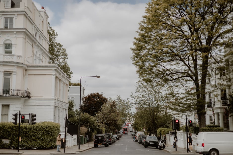 The image captures a narrow cobblestone street in Primrose Hill lined with white residential buildings featuring black doors and decorative railings. Green shrubbery and small trees are visible along 