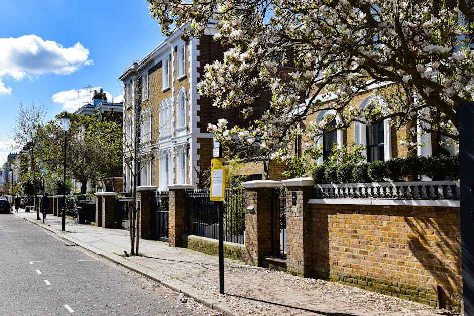 A residential street in Primrose Hill with a row of Victorian-style brick and stucco houses featuring white window frames and decorative moldings. The pavement is shaded by blossoming trees with white flowers, and a black metal fence runs along the front gardens of the properties. A yellow bus stop sign is visible on the pavement next to a young tree, while a street lamp stands further down the sidewalk. The sky above is bright with scattered clouds, and the street appears calm and quiet. This scene exemplifies an urban environment suitable for house removals and furniture transport services provided by Man With a Van Primrose Hill, illustrating a typical setting for home relocation activities.
